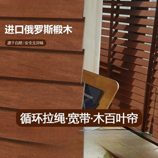 打孔捲簾 辦公捲簾 遮光捲簾 打孔百葉窗簾捲拉式木質木百葉遮光升降捲簾2025新款客廳書房實木椴木遮陽窗簾 陽臺遮光窗簾