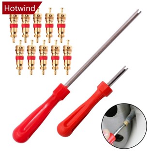 HOTWIND 摩托車汽車輪胎氣門芯扳手拆卸工具套件塑膠手柄鍍鐵扳手芯輪胎維修手動工具自行車自行車 Q6W9