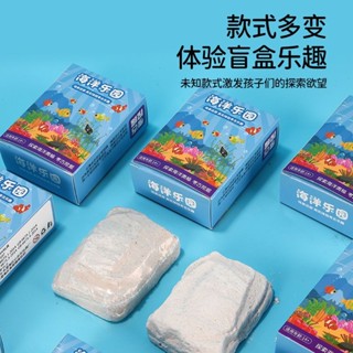 2025新款海洋考古寶石挖掘盲盒兒童海底生物禮物化石寶藏益智玩具20250611