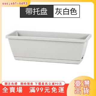 臺灣出貨 【2274人收藏】霍倫種菜盆陽臺種菜專用盆家用種植箱長方形塑膠花盆懶人長條花盆