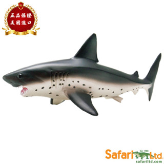 ★兒童玩具模型上新★Safari Ltd美國正品2022年 太平洋鼠鯊魚 海洋動物模型玩具100690