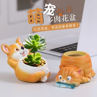 熱賣 [辦公桌點綴神器]卡通可愛植物多肉花盆創意動物盆栽擺件個性拇指盆小狗貓咪簡約風
