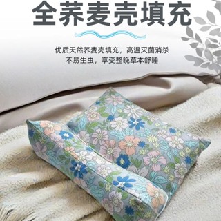 枕頭蕎麥殼三角連體枕家用護頸枕可組合枕芯枕蕎麥殼三角連體枕家用保護頸椎wfjz.my20250608