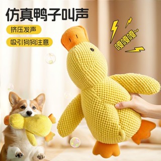 狗狗玩具發聲耐咬衝鋒鴨中小型犬柯基泰迪寵物貓消耗體力解悶神器20250612