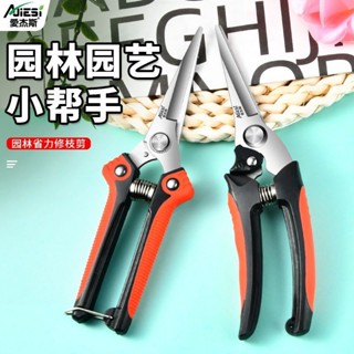 精品 愛傑斯園藝剪子疏花摘果剪刀園藝修枝剪多功能粗枝剪火龍果長嘴剪 5c
