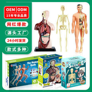 台灣出貨 手工DIY 兒童玩具骨骼器官可拆卸拼裝生物解剖醫學3d內臟人體結構模型