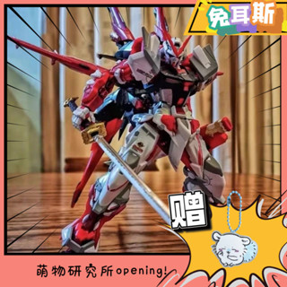 高達 模型 拼裝 HG 鋼彈 RG 強襲自由 獨角獸 紅異端 機甲 手辦 玩具 新生自由 拼裝 手辦