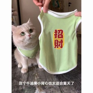 貓咪狗狗衣服春寵物貓銀漸層藍貓防掉毛透氣可愛清涼冰絲背心Ready stock✨2025新款✨0528