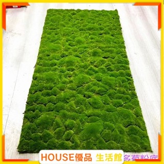 🔥臺灣出貨🔥青苔地毯 模擬苔蘚草皮 草地 草坪綠植 diy陽臺綠地區 戶外微景觀 綠植地墊 假草坪地毯 模擬草坪