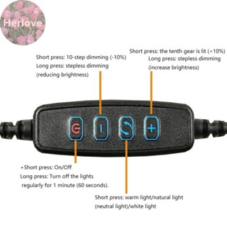 Herlove 1Pc USB 插頭 DC5V LED 燈在線開關調光控制器帶 2 米電纜 1W 3W 6W 10W 燈