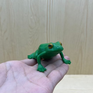 散貨 迷你青蛙擺件 模擬動物 模型 戶外裝飾品 創意微型擺件