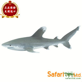 ★兒童玩具模型上新★Safari Ltd美國正品 遠洋白鰭鯊 鯊魚模擬海洋動物模型玩具100271