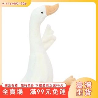 臺灣出貨 鵝娃娃 鴨娃娃 大鵝娃娃 鴨玩偶 鴨子抱枕 小白鵝 鵝玩偶 鴨子娃娃 小鵝玩偶 鴨子抱枕 大白鵝 G2