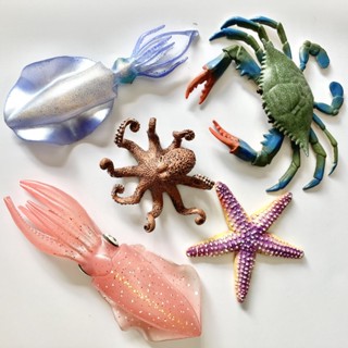 兒童實心海洋動物模型模擬花枝魷魚螃蟹海星烏賊模型玩具擺件手辦
