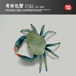 玩物尚誌麵包蟹模型模擬海洋動物玩具螃蟹兒童認知益智