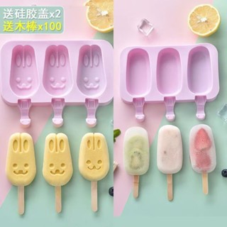 冰淇淋模具Ice cream mold矽膠自製雪糕模具冰棒冰糕冰激凌盒冰棒模具家用製作卡通冰塊模型新款現貨25.6.8