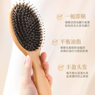 全場大促豬鬃梳子女士氣墊順發防鬆發經絡頭部按摩家用便攜式小豬髮梳女士氣囊專用氣墊護髮精品