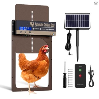 自動雞舍門 太陽能供電 光感//手動/定時開關門 LCD螢幕 IP65防水 防夾雞定時雞窩門