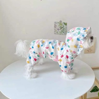 寵物雨衣Raincoat防水寵物小雨衣狗狗四腳泰迪衣服小中型犬比熊博美貓咪春款雨衣25.6.4