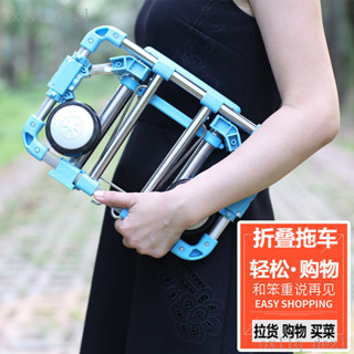 臺灣熱賣 戶外 露營 時尚不銹鋼可折疊買菜小拉車便攜手拉車購物旅行小拖車行李拉桿車小拉車