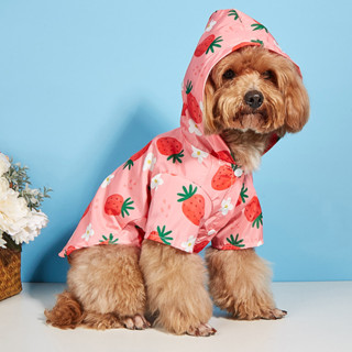 寵物雨衣 水果草莓圖案新款防水服 貓狗通用防水寵物衣服