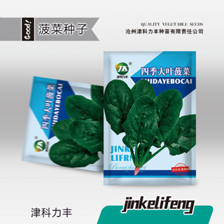 廠家大量批髮四季大葉菠菜種子耐寒耐熱圓葉波菜菜籽耐抽苔蔬菜種