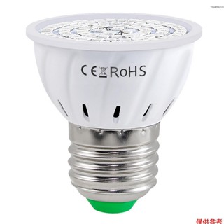 Winn LED 室內植物生長燈泡紅藍光譜 LED 植物燈泡 E27 幼苗生長燈水培多肉花卉蔬菜溫室 (220V)
