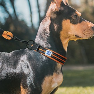 狗狗項圈狗圈小型犬脖圈大型犬頸圈防勒中型泰迪寵物用品狗6.9a