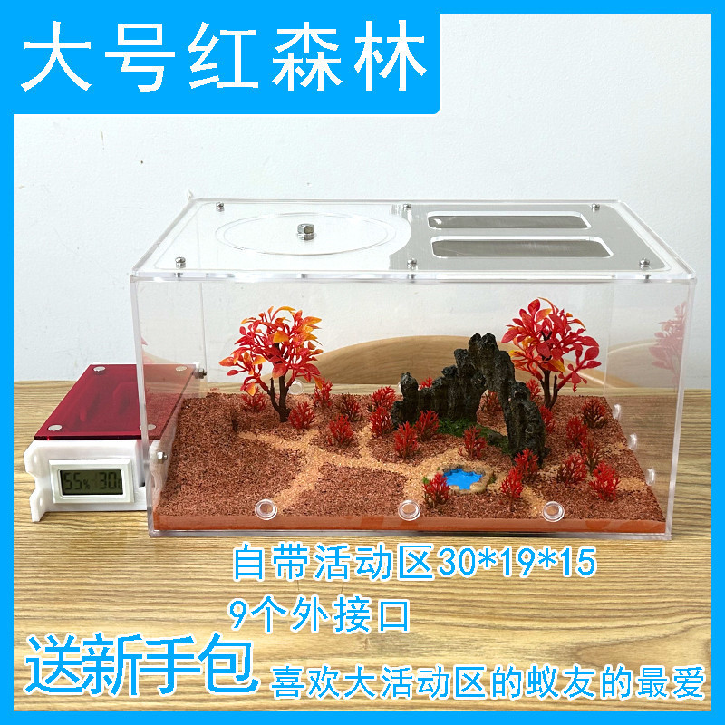 現貨 螞蟻巢 螞蟻帝國 螞蟻試管 吸螞蟻專用 螞蟻配件 螞蟻城堡螞蟻工坊螞蟻家園寵物屋螞蟻窩生態混凝土平麵蟻巢