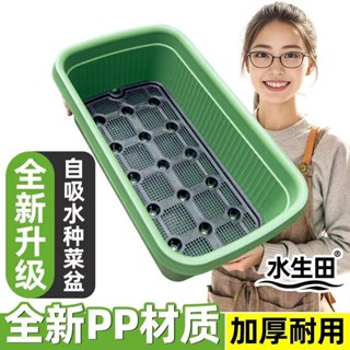🔥限時下殺🔥 加大款種菜專用盆傢庭種菜盆神器自動吸水花盆儲水塑膠種植箱 U O