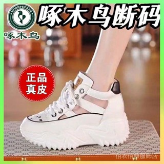 ❗️臺灣出貨 啄木鳥品牌真皮高幫休閒鞋女夏季新款鏤空透氣涼鞋增高厚底小白鞋 限時特賣❗️B66-6-C2