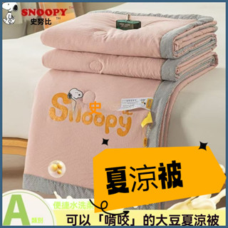 Snoopy涼被 史努比涼被 兒童涼被 夏涼被 卡通空調被 可機洗涼被 薄夏被 卡通夏被 空調被 午休蓋被 單人/雙人