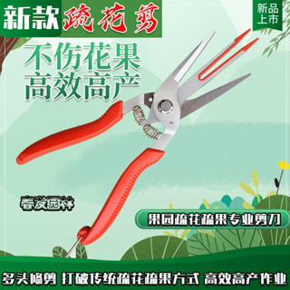 臺灣熱賣新款疏花剪刀疏果雙口剪不鏽鋼煅打蘋果樹梨樹剪果農幫手稀花神器 612