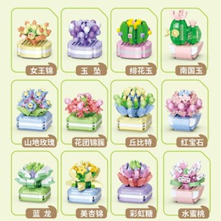 盆栽積木 多肉積木 多肉模型 南國玉 水蜜桃 紅寶石 藍龍 玉墜 山地玫瑰 丘比特 拼裝積木 組裝模型 益智玩具 禮物