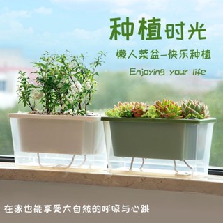 種蔥陽臺種菜盆窄小邊縫種植盆家專用箱窗沿懶人自吸水花盆多肉槽✨甄選五金行✨527
