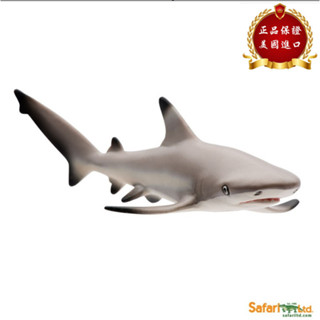 ★兒童玩具模型上新★Safari Ltd美國正品 黑鰭礁鯊 鯊魚 海洋動物模型兒童玩具 200029