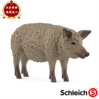 ★兒童玩具模型上新★思樂Schleich德國正品2025年 曼加利察母豬動物模型兒童玩具14892