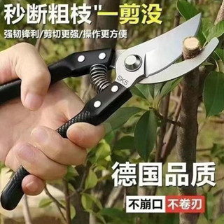 ✨臺灣出貨✨原裝日本VVT進口SK5強力園藝修枝剪新款園林家用省力款花枝園藝剪 磨刀神器 果園修枝剪刀