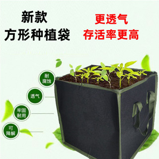 種植袋 無紡布加厚美植袋 陽臺種菜 育苗盆 天台種植箱 植物育苗袋 生長袋
