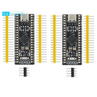 2Pcs STM32F411開發板,STM32F411CEU6 STM32F4學習板,支援程式設計