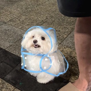 狗狗雨衣小型犬金毛中型犬大型犬透明塑膠時尚雨衣狗雨衣小型犬金毛中犬大型犬FGRT20250613
