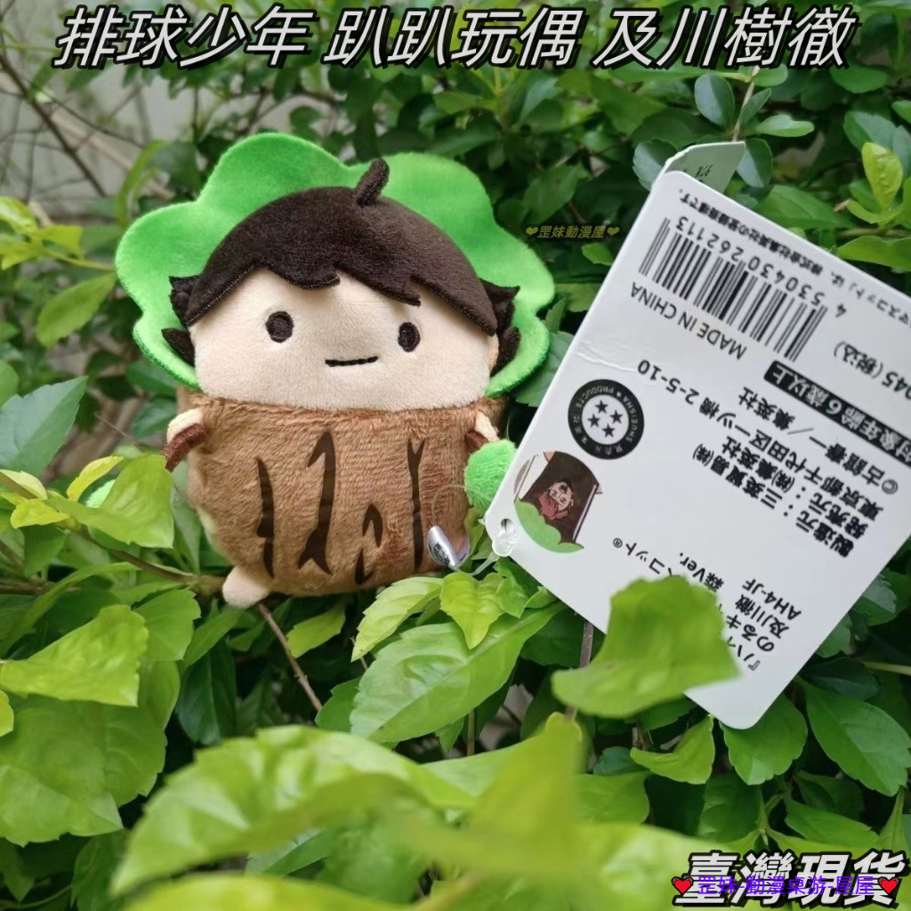 臺灣發貨 排球少年 及川樹 樹徹 及川徹趴娃 趴趴玩偶 挂件 挂飾 及川趴娃 及川徹娃 排少趴娃 排少公仔 及川樹徹
