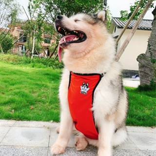 寵物雨衣 狗狗雨衣 狗狗金毛哈士奇阿拉斯加肚兜圍防水衣服防著涼護肚子寵物護肚雨衣 WQrC
