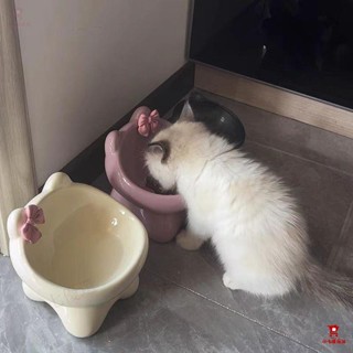 【小七優選】🔥【臺灣熱銷】😺 貓碗 寵物陶瓷碗 貓咪水碗 飼料碗 狗碗 貓碗架 高腳貓糧碗 護頸碗 斜口碗 陶瓷碗