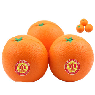 客製化【壓力球】解壓玩具 訂製logo 橘子造型 壓力球 培訓證招生 小禮品 廣告宣傳印字