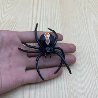 散貨 科學與自然系列 蜘蛛 模擬昆蟲動物模型 嚇人玩具