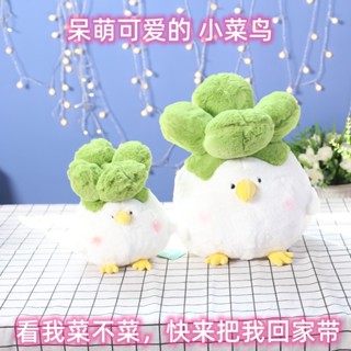 抱枕菜鳥趣味辦公室大白菜公仔搞笑網紅小多愛可愛男友毛絨玩具萌