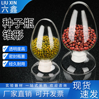 臺灣現貨「六鑫科教」種子瓶透明玻璃錐形雞心瓶實驗室玻璃器皿展示樣品 125/250/500ML 預購