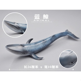海洋動物玩具模型 藍鯨兒童 玩具 模型 擺件 動漫 漫畫 水底世界