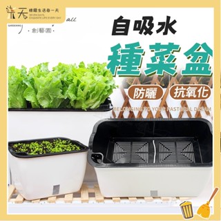 【臺灣出貨】種菜盆 自動吸水花盆 超大號種植箱 蓄水花盆 懶人花盆 免澆水花盆 長型花盆 棉繩自吸水好養活
